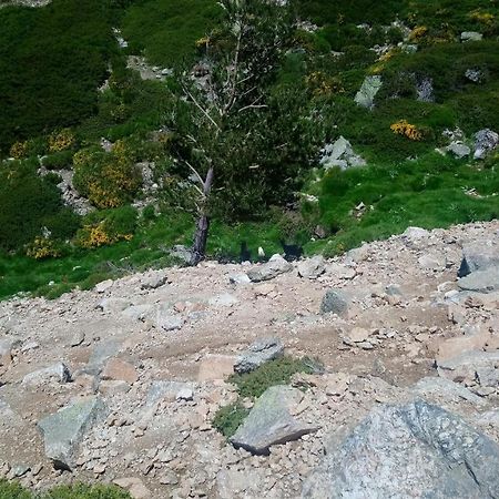 Apartamento Navacerrada Exteriér fotografie